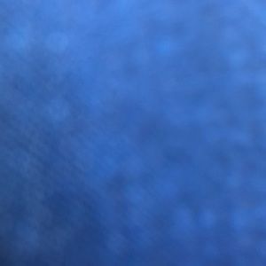 Meet your Posher, Jenny